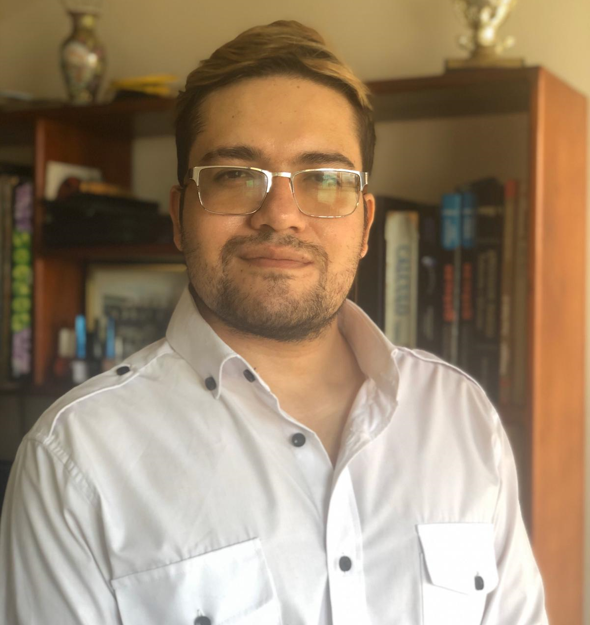 Luis Felipe Ariza Vanegas